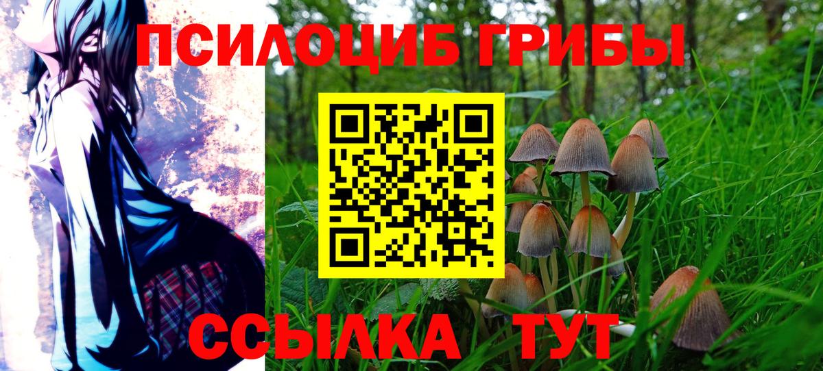 Галлюциногенные грибы MAGIC MUSHROOMS  Вход с VPN  закладки  Краснознаменск 
