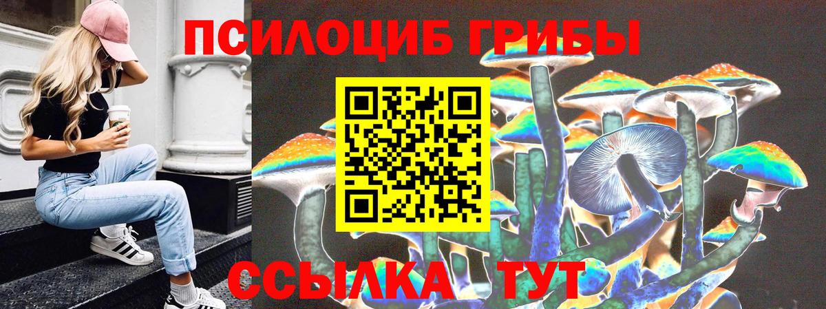 Псилоцибиновые грибы MAGIC MUSHROOMS Краснознаменск